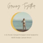 Carson Meyer Instagram – The last virtual Prenatal Growing Together Circle of 2021 starts September 1st
 ✨
Join me and a group of mamas-to-be for a 12 week birth preparation course that explores healthy pregnancy , postpartum care and everything in between. This circle is a wonderful way to connect with new parents and build a loving community of support 
✨

Photo of beautiful friend @kat.villain & Plum