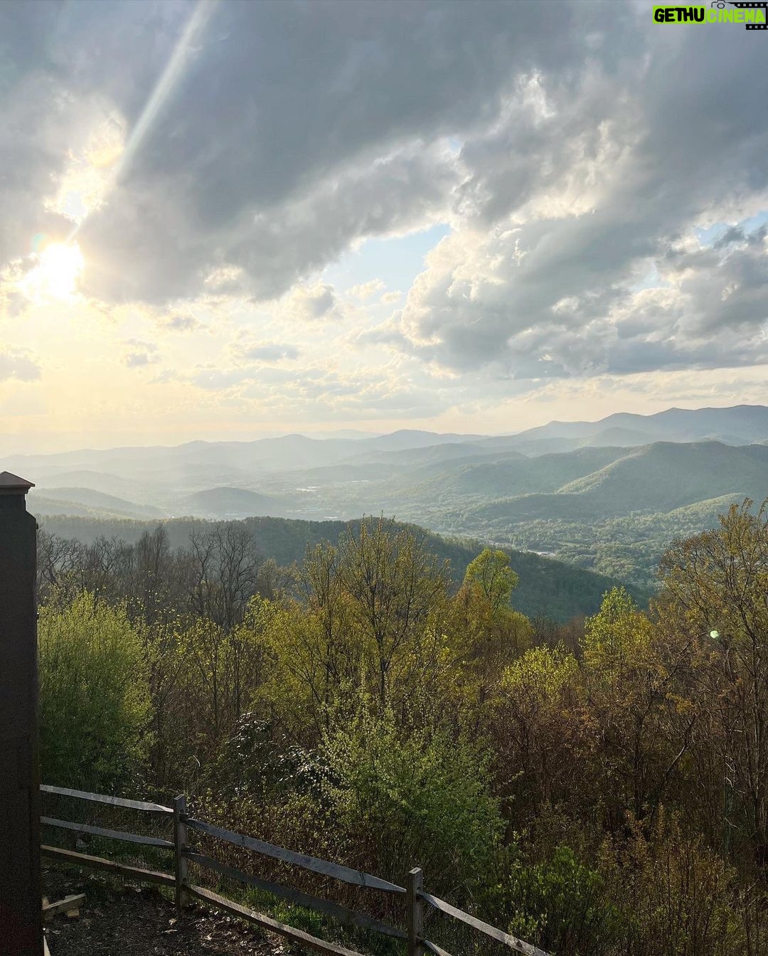 Carson Meyer Instagram - Soaking up every second of spring time in The South. A few of my favorite things: ๐๐ชบ mama dove sitting on her nest outside my window ๐ฑ First broccoli sprout emerging in the garden ๐ป family of bears in our back yard ๐ชฑ worms turning our food scraps into black gold ๐ฎ breakfast tacos ๐ง
๐ง my love, foraging for wild ramps for dinner on the mountain