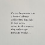 Carson Meyer Instagram - The celebrations continue for the Scorpios 🤍✨…Happy 1st Birthday to our little forest fairy Lou!!!! You amaze me every day with your sense of humor, compassion, curiosity and intellect. It’s hard to believe it’s only been a year because our hearts have known you forever. Thank you for choosing us as your parents and for showing us just how sweet life can be. Photo by @emmamariej_