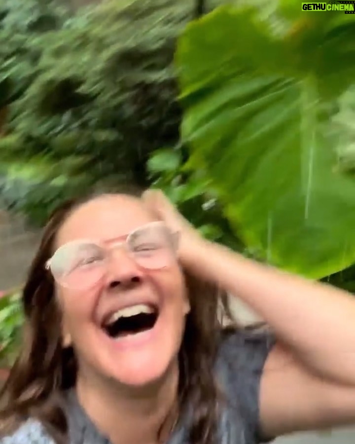Cary Tauben Instagram - Au revoir l'été Montreal, Quebec