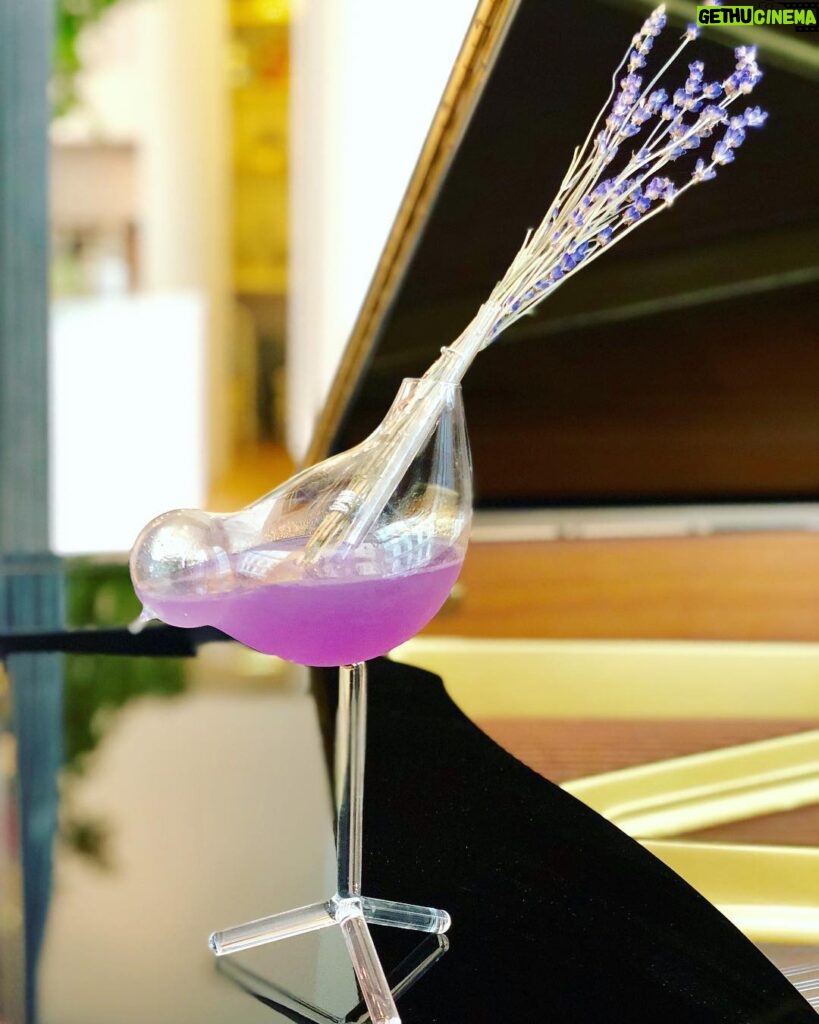 Casey Patterson Instagram - The Aviation Cocktail modified with lavender water and blue pea flower infused gin with a fresh lavender tail #cocktails #madeformyghubs