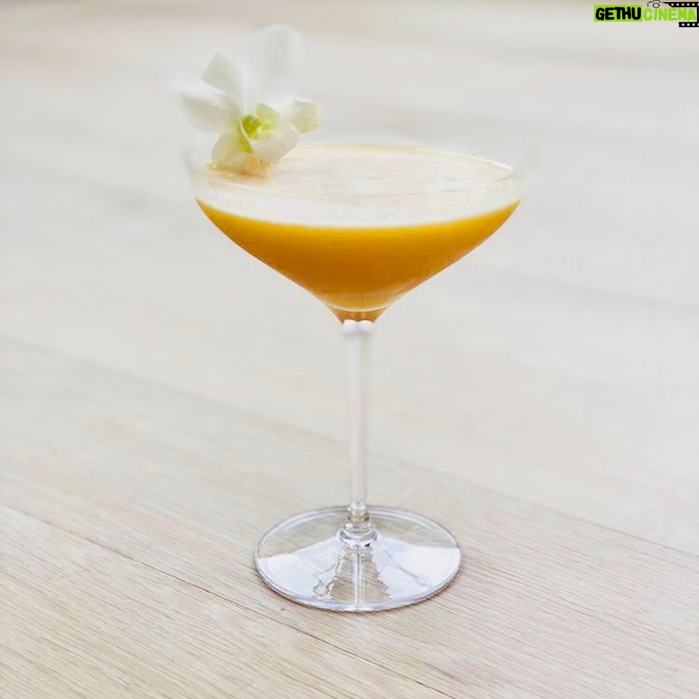 Casey Patterson Instagram - So (ho) pretty I can’t believe I actually made these. Thank you @pamwiz for the after party teaching tradition. You’ve turned my kitchen into #mixology madness 💋🙏🏻 Flora-Flora, Clover Club, Smoked Manhattans