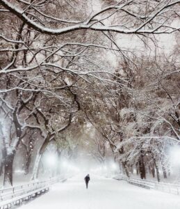 Casey Patterson Instagram - Home for the holidays. I love you #NYC ❄️🌬 @blairinthecity Central Park
