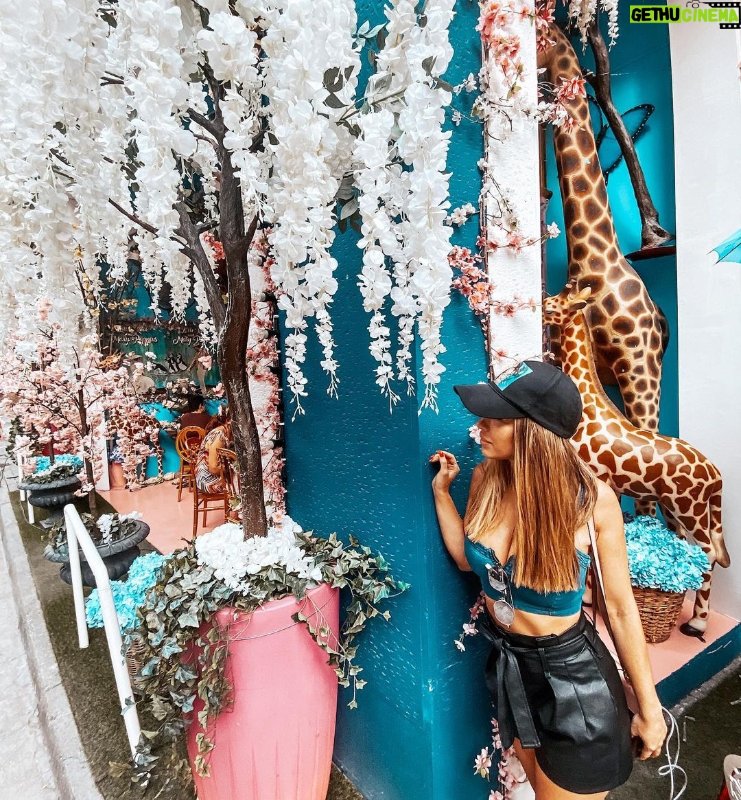 Catarina Jacob Instagram - Deixem me sonhar com um mundo onde é tudo cor de rosa, com girafas, unicórnios e arco-íris. Onde a tristeza é desconhecida, a maldade não tem espaço e o orgulho não é convidado. #justadream