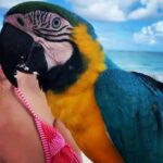 Catarina Jacob Instagram - Para ... para ... paradise 🌴🦜