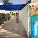 Catarina Jacob Instagram - Living fully the winter, always dreaming about the summer ♾️ Djerba Island