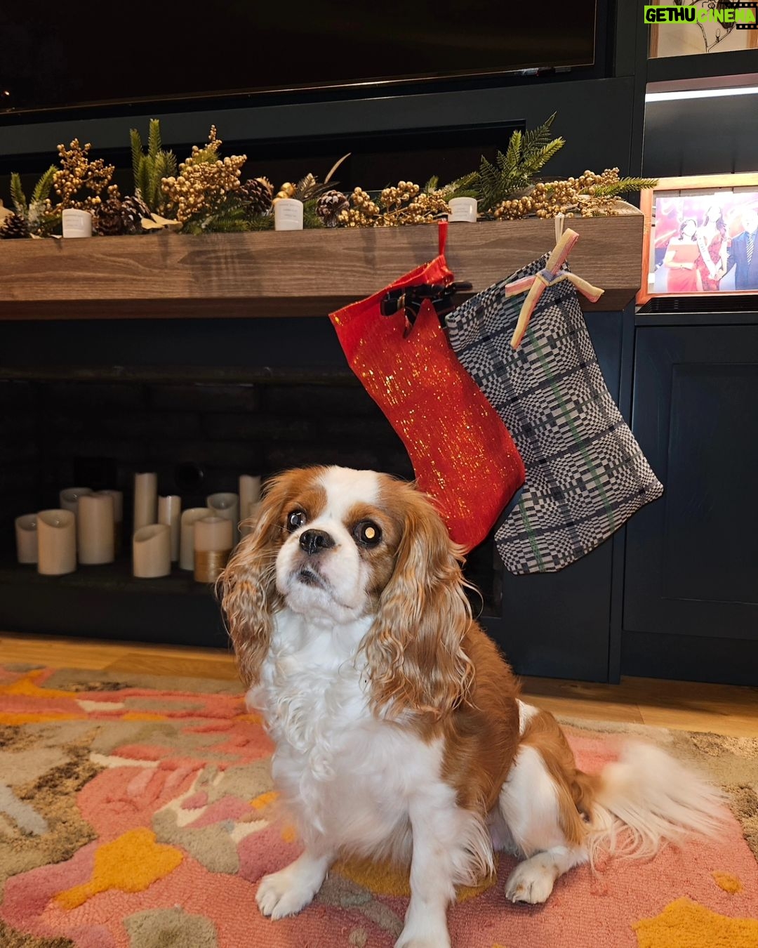 Catriona Gray Instagram - Merry Christmas eve ❤️ As always, embracing weaves in #CasaDeGray with these upcycled tela ornaments by @malingkatweaves and 🇵🇭 textile stockings made by @justine.aliman19 🥰 #SupportLocalPH