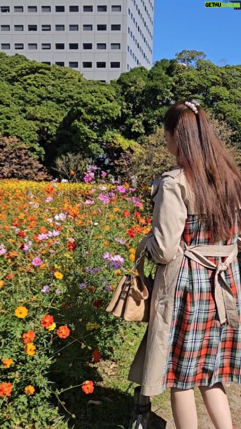 Catriona Gray Instagram - Discovered a field of wildflowers today in the middle of Tokyo 🥺 and saw little blue butterflies 🦋. Mama @mitagray and I sat under a nearby tree in the shade and read and sipped our coffees and it was just a really, really wonderful morning. ☀️