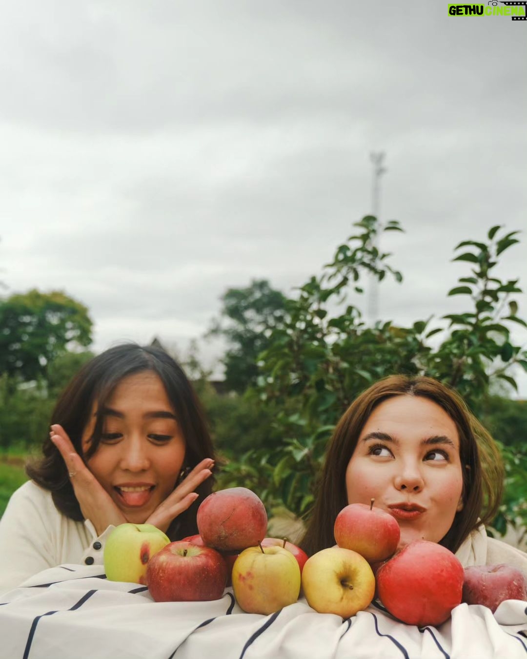 Catriona Gray Instagram - An apple a day....π Attempted apple picking with @jololuarca @lizalvarez.ph although all the apples had fallen. Still super sweet and crunchy though π π Wearing @hm captured by @jololuarca Niagara-On-The-Lake, Ontario