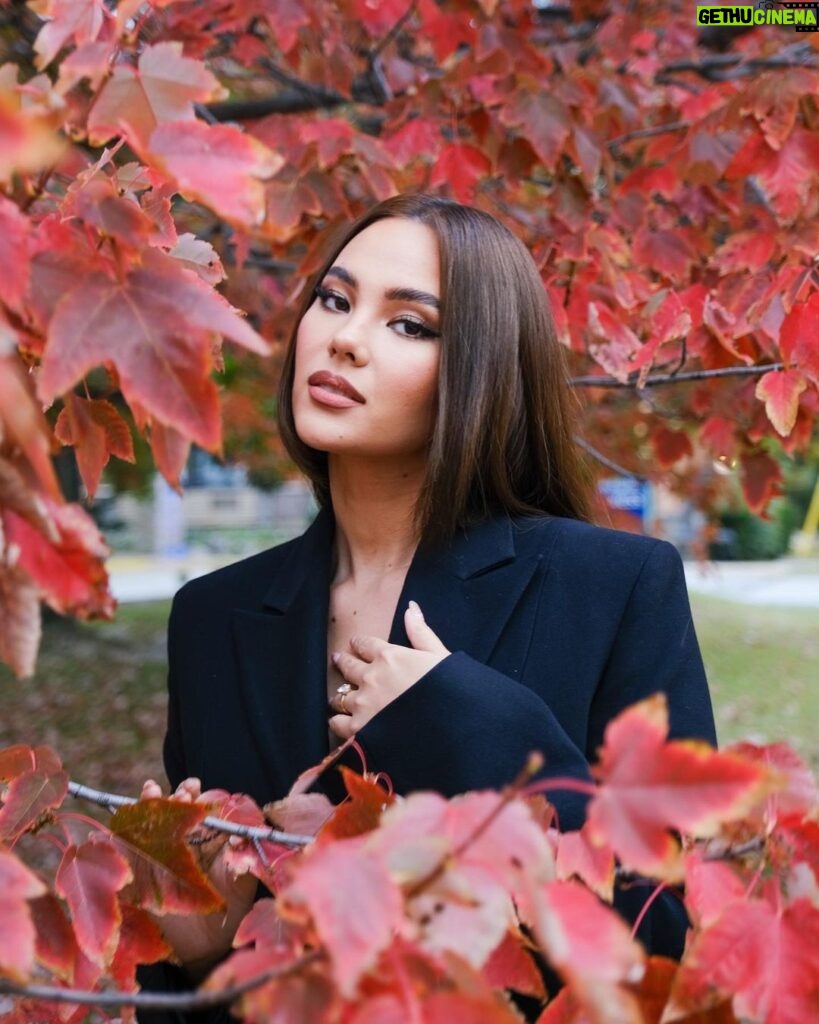 Catriona Gray Instagram - Falling in love with autumn 🍂 a maxxx glam lewk in @hm #AW23 📸 @jololuarca