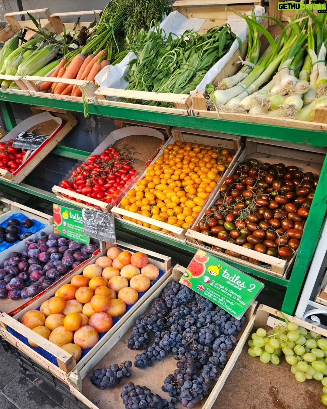 Catriona Gray Instagram - Making it my goal for my life to be as vibrant as Italian tomatoes. 🤌 Sorrento, Italy