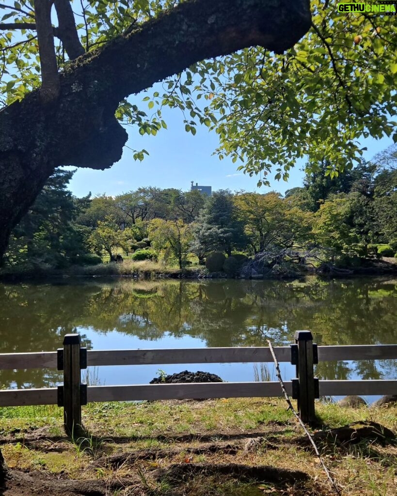 Catriona Gray Instagram - ✅️ Off my mama bear's bucketlist! Welcome to Japan, mama @mitagray !! 🥰 Shinjuku Gyoen National Garden