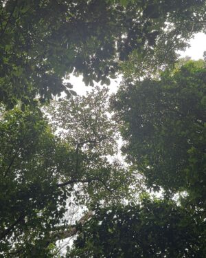 Cauã Reymond Instagram - Na na Natureza 🌿
