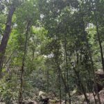 Cauã Reymond Instagram – Na na Natureza 🌿