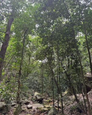 Cauã Reymond Instagram - Na na Natureza 🌿