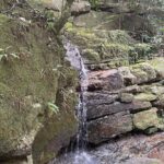 Cauã Reymond Instagram – Na na Natureza 🌿