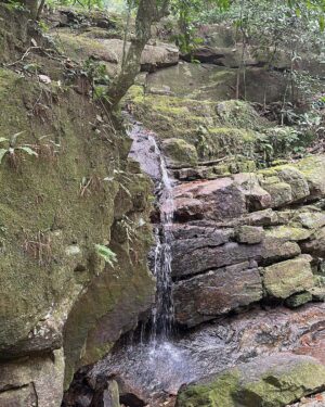 Cauã Reymond Instagram - Na na Natureza 🌿