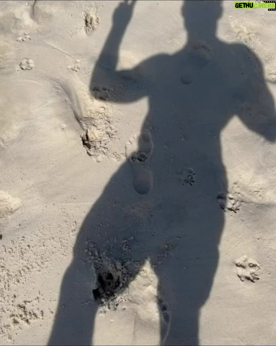 Cauã Reymond - 147.5K Likes - Ar, terra ou mar... Onde você mais gosta de estar?
