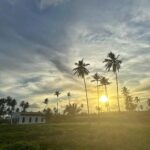 Cauã Reymond Instagram – 💚☀️🌬️ São Miguel dos Milagres – Alagoas