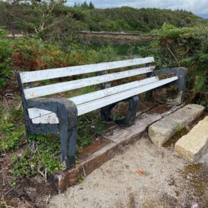 Cecelia Ahern Instagram - I’d had some thoughts about a story for some time, I came away on holiday with my family to my spirit home and grabbed an hour to myself to write it.

I sat on this bench with a pen and pad and wrote “The Woman Who Slowly Disappeared” which became the first story in a short story collection named ROAR. 

ROAR is now a TV series in production for Apple TV+ starring @nicolekidman @cynthiaerivo @alisonbrie #MerritWeaver created by #LizFlahive & #CarlyMensch produced by the phenomenal @brunapapandrea @madeupstories @blossomfilms #TheresaPark @endeavor 

I’m always asked about writing, for tips, for guidance, for all the secrets. But really all you need is a good idea, oodles of passion, to be in the zone. A pen and a pad.

And this bench.

When you create a moment for yourself you have no idea about all the moments to come because of it. 💫