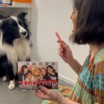 Cecilia Milone Instagram - ¿Te acordás del pulpo Paul? 🐶 Bueno, en @portenasok tenemos al perrito Diego, y dice que tenés que venir a ver la obra. ¡Te esperamos en el @teatroastralok! Estamos de jueves a domingo y ATENCIÓN❗Finde de carnaval, también hay función el lunes 12 (feriado). 🎟️ Entradas @plateanet y en la boletería del teatro 🙋🏻‍♀️ @julitacalvok, @ceciliamilone, @polittiandrea, @rominarichiok y @mmicariera 🎭 Dirección: @manuelgonzalez.gil #teatrobuenosaires #teatroba #teatroastral #teatroargentino #artesescenicas #obradeteatro #porteñas #porteñasteatro #juliacalvo #ceciliamilone #andreapolitti #rominarichi #micaelariera TEATRO ASTRAL