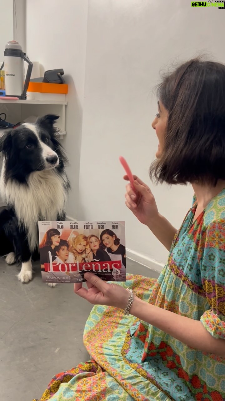 Cecilia Milone Instagram - ¿Te acordás del pulpo Paul? 🐶 Bueno, en @portenasok tenemos al perrito Diego, y dice que tenés que venir a ver la obra. ¡Te esperamos en el @teatroastralok! Estamos de jueves a domingo y ATENCIÓN❗Finde de carnaval, también hay función el lunes 12 (feriado). 🎟️ Entradas @plateanet y en la boletería del teatro 🙋🏻♀️ @julitacalvok, @ceciliamilone, @polittiandrea, @rominarichiok y @mmicariera 🎭 Dirección: @manuelgonzalez.gil #teatrobuenosaires #teatroba #teatroastral #teatroargentino #artesescenicas #obradeteatro #porteñas #porteñasteatro #juliacalvo #ceciliamilone #andreapolitti #rominarichi #micaelariera TEATRO ASTRAL