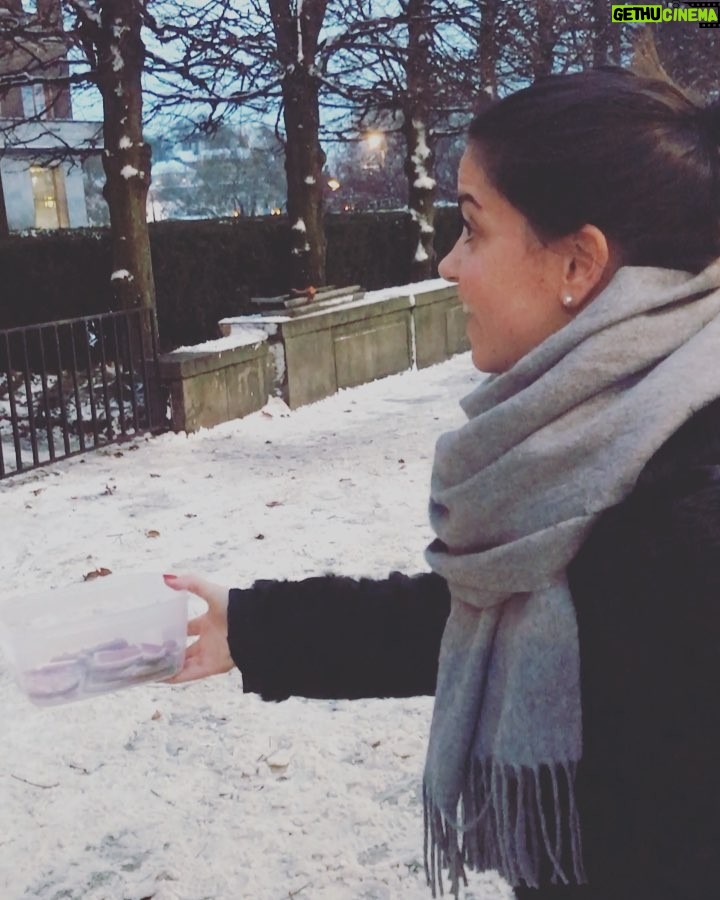 Cecilie Steinmann Neess Instagram - 14.desember - Når du tigger til deg date i romjulen💃🏻 #sukCess