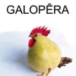 Celso Portiolli Instagram – 😂😂😂😂Escreve aí Galopeeeeeeeeeeeeeeeeeeeira