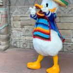 Celso Portiolli Instagram - Os dias mágicos continuam! @disneyworld.brasil @waltdisneyworld