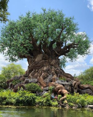 Celso Portiolli Instagram - Desfrutando de um tempo de descanso neste pedaço encantado do mundo pelo qual sou completamente apaixonado! Thanks @disneyworld.brasil @waltdisneyworld!