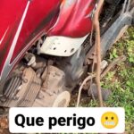 Celso Portiolli Instagram - 😳😳😳