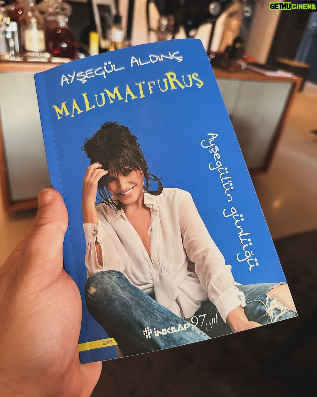 Cem Yılmaz Instagram - Akıllı, komik, samimi bir günlük okur gibi 🌹 @aysegulaldinc in MALUMATFURUŞ u mutlulukla öneririm :)