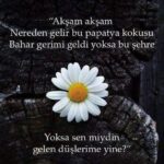 Cem Yılmaz Instagram - Ne kadar da doğru 🌹🌹🌹🌹❤️❤️❤️❤️❤️🙏🏻🙏🏻🙏🏻🙏🏻🙏🏻🙏🏻🙏🏻 iyi hafta sonları 🧿