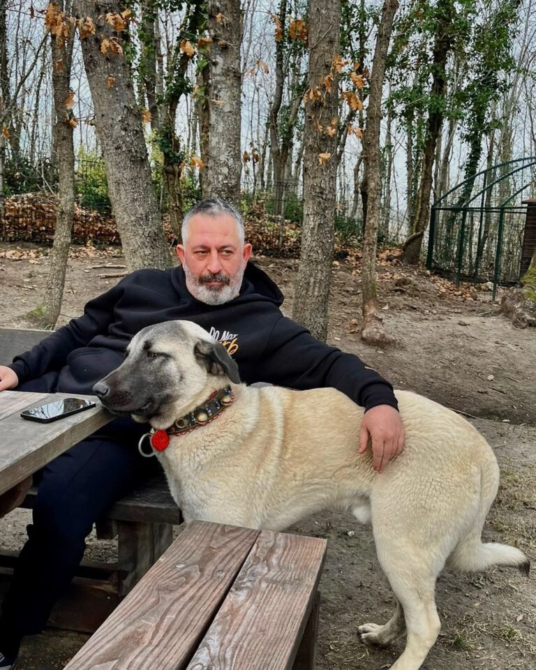 Cem Yılmaz Instagram - Abi sana gelicez bi sorun olur mu ? Olur…3 farklı sorun olur ❤️❤️❤️
