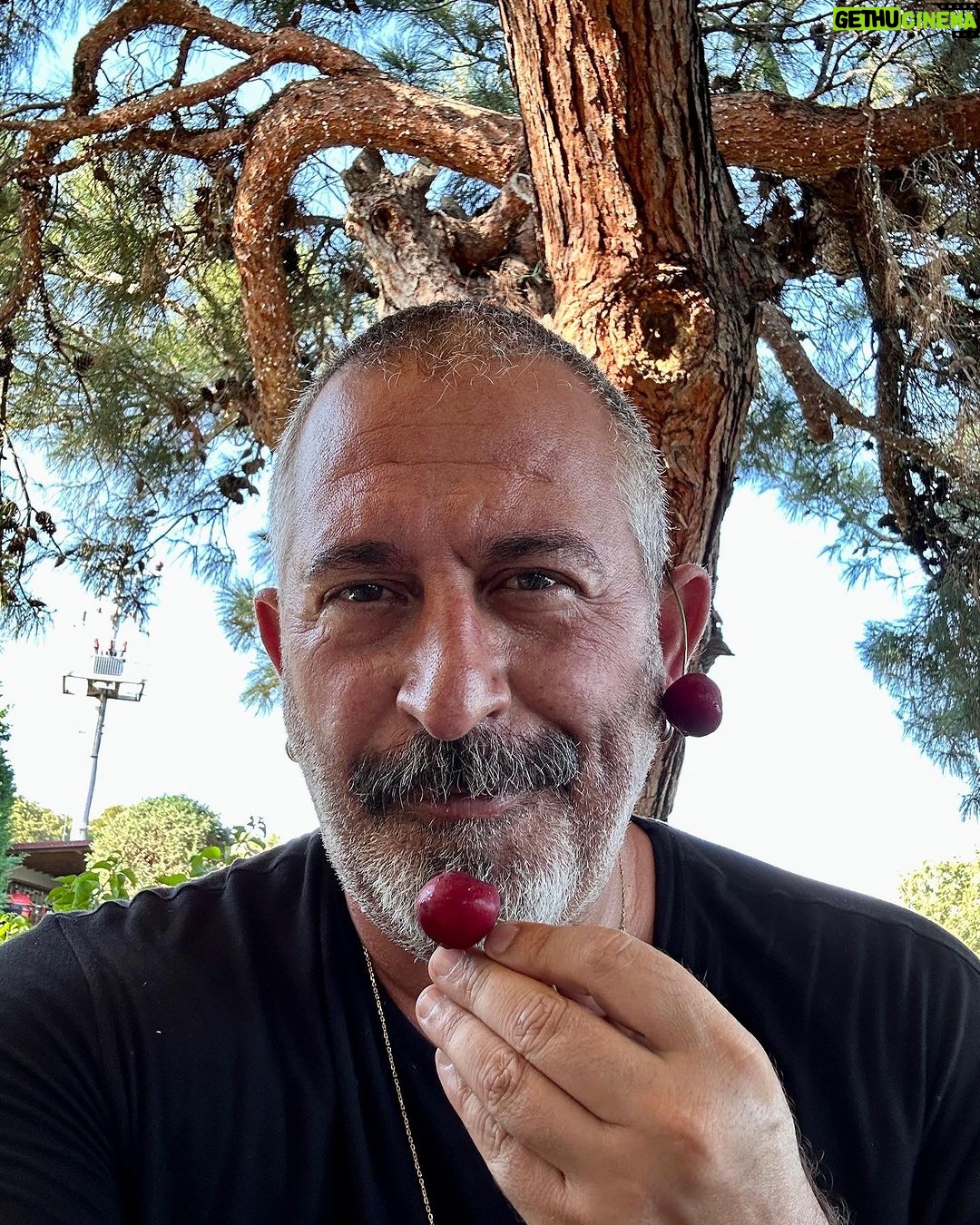Cem Yılmaz - 107.4K Likes - They see me rollin’