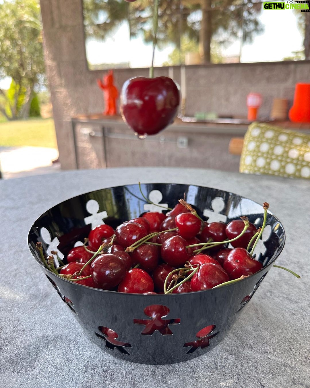 Cem Yılmaz Instagram - Akşehirden gelen tat :)) teşekkürler Özgen hoca 🌹