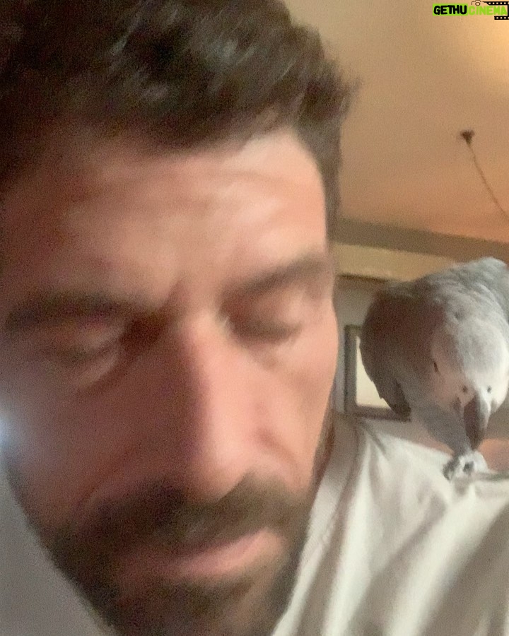 Cemal Hünal - 6.2K Likes -