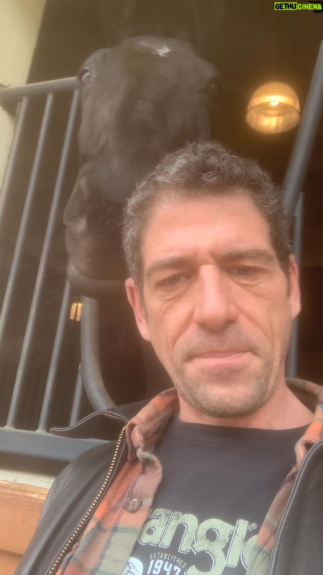 Cemal Hünal - 3.4K Likes -