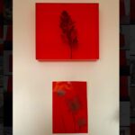Cemrehan Karakaş Instagram - Lets not call it global warming because it is a crisis ! 1- Cemrehan Karakaş “Our time is running out” Ready made sculpture 2021 2- “Fire in the whole” 36x33cm plexiglass and branch 2021 #climatecrisis #fridaysforfuture