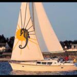 Cemrehan Karakaş Instagram - Ahoy ! Who wants to be coolest on water? Dm me to set sail for new horizons with my unique designs and sailcloth friendly application techniques.