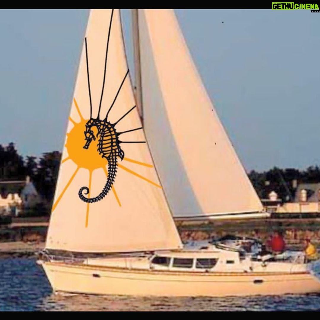 Cemrehan Karakaş Instagram - Ahoy ! Who wants to be coolest on water? Dm me to set sail for new horizons with my unique designs and sailcloth friendly application techniques.
