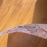 Cemrehan Karakaş Instagram - Deniz temali bi bi seyler tasarlamak uzere cizdiklerimi karistirirken raftan dusen kagit obeginin arasindan bu balik arkadas yere dustugunde dik bi sekilde durdu ateyizler bunu aciklasin