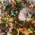Cemrehan Karakaş Instagram - biomimi-cry Yani ben köyümü özledim Ayrintili bilgi icin asknature.org