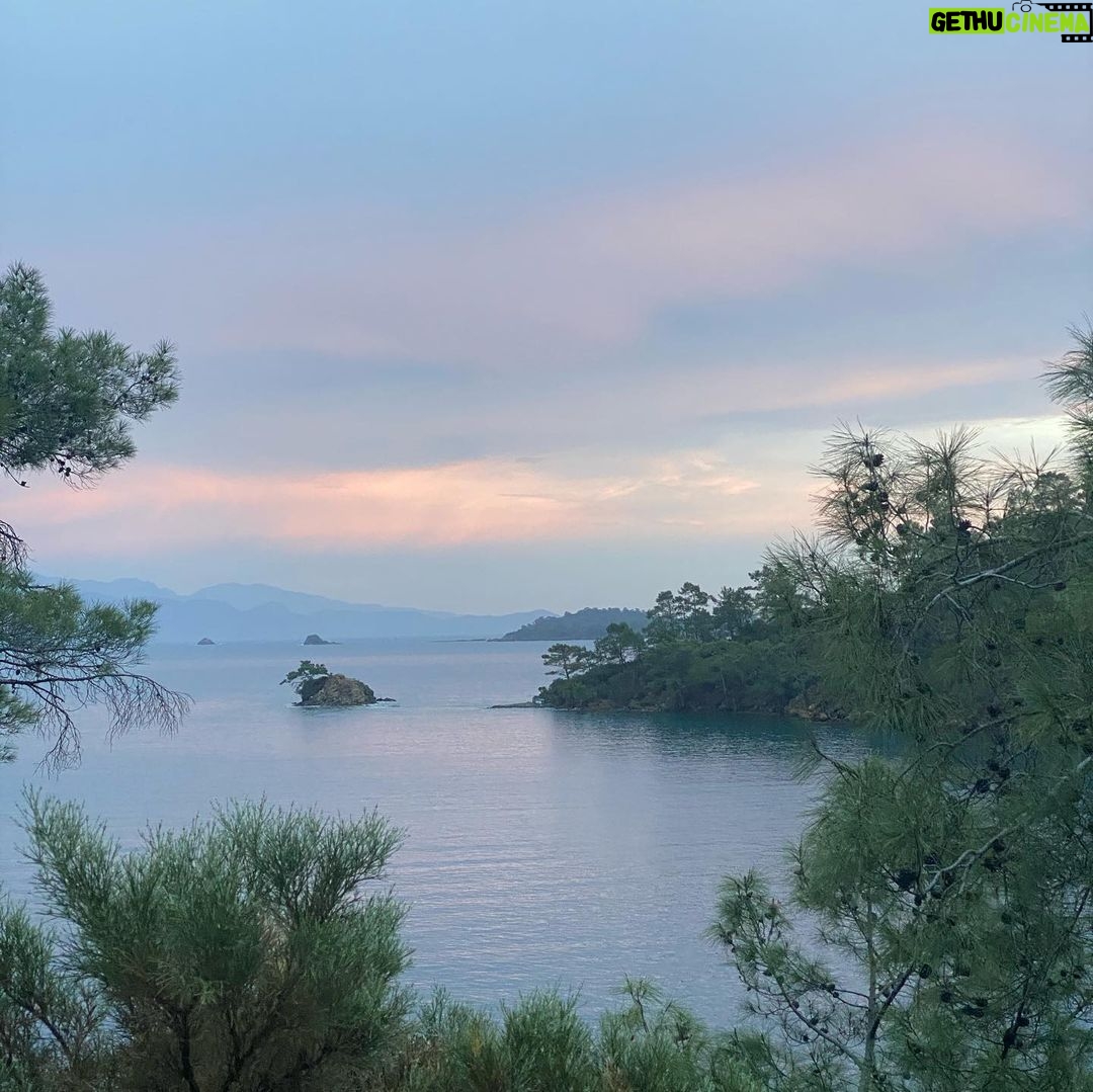 Cemrehan Karakaş - 21.1K Likes - Cemre yola düştü 🏕⛰🌲