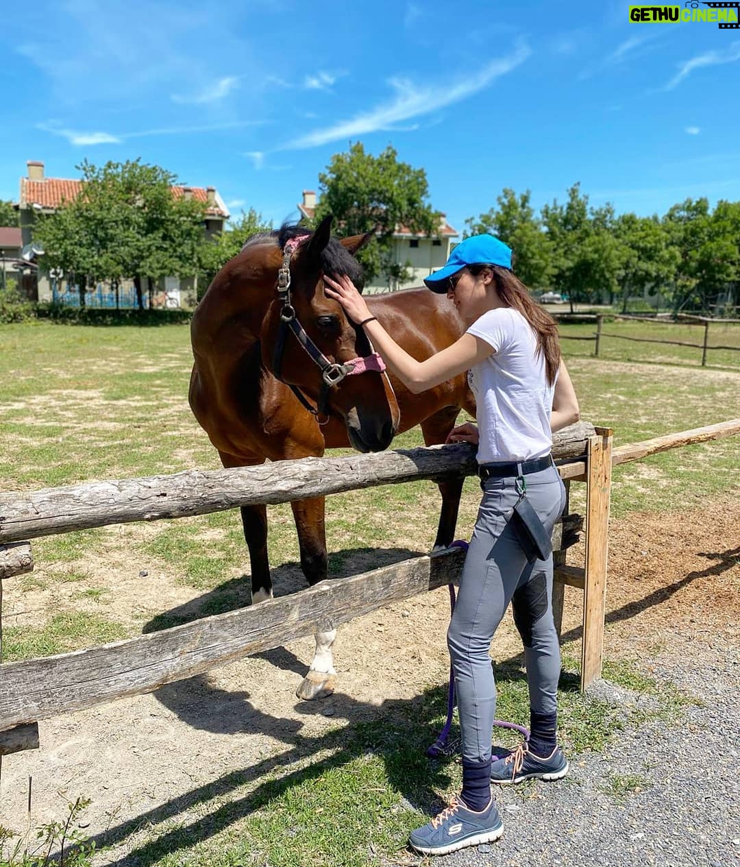 Ceyda Olguner - 3.9K Likes - #feelings 🤠