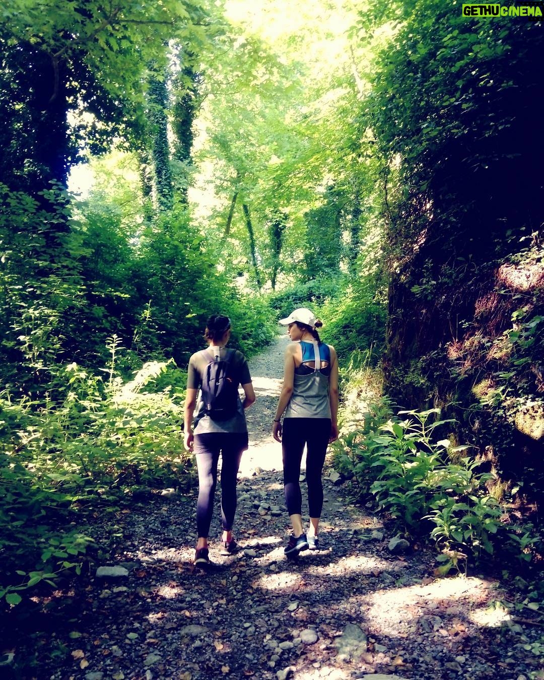 Ceyda Olguner Instagram - #biz gideriz #orman a #hey ormanaaaa #sapanca #çatalkaya @ergulmiray #oksijenkafası #trekking e doğru 😈