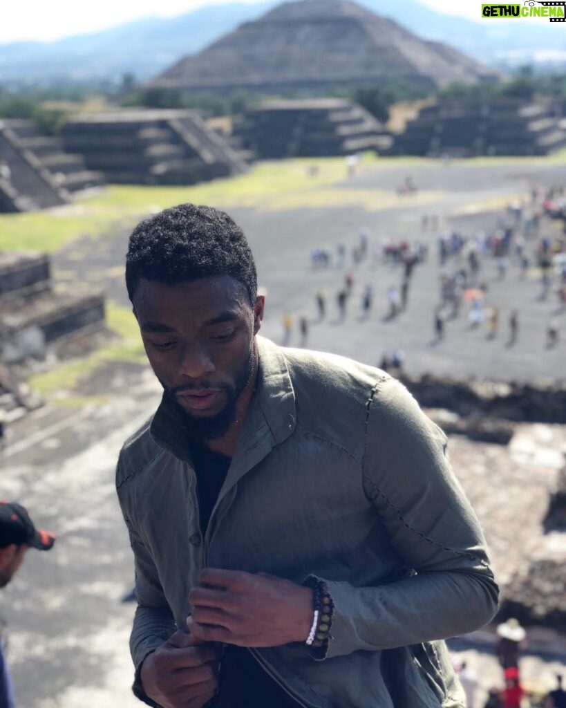 Chadwick Boseman Instagram - Thank you for all the birthday/bornday/earth day wishes. I love all of them. I appreciate all of you. #Renewed