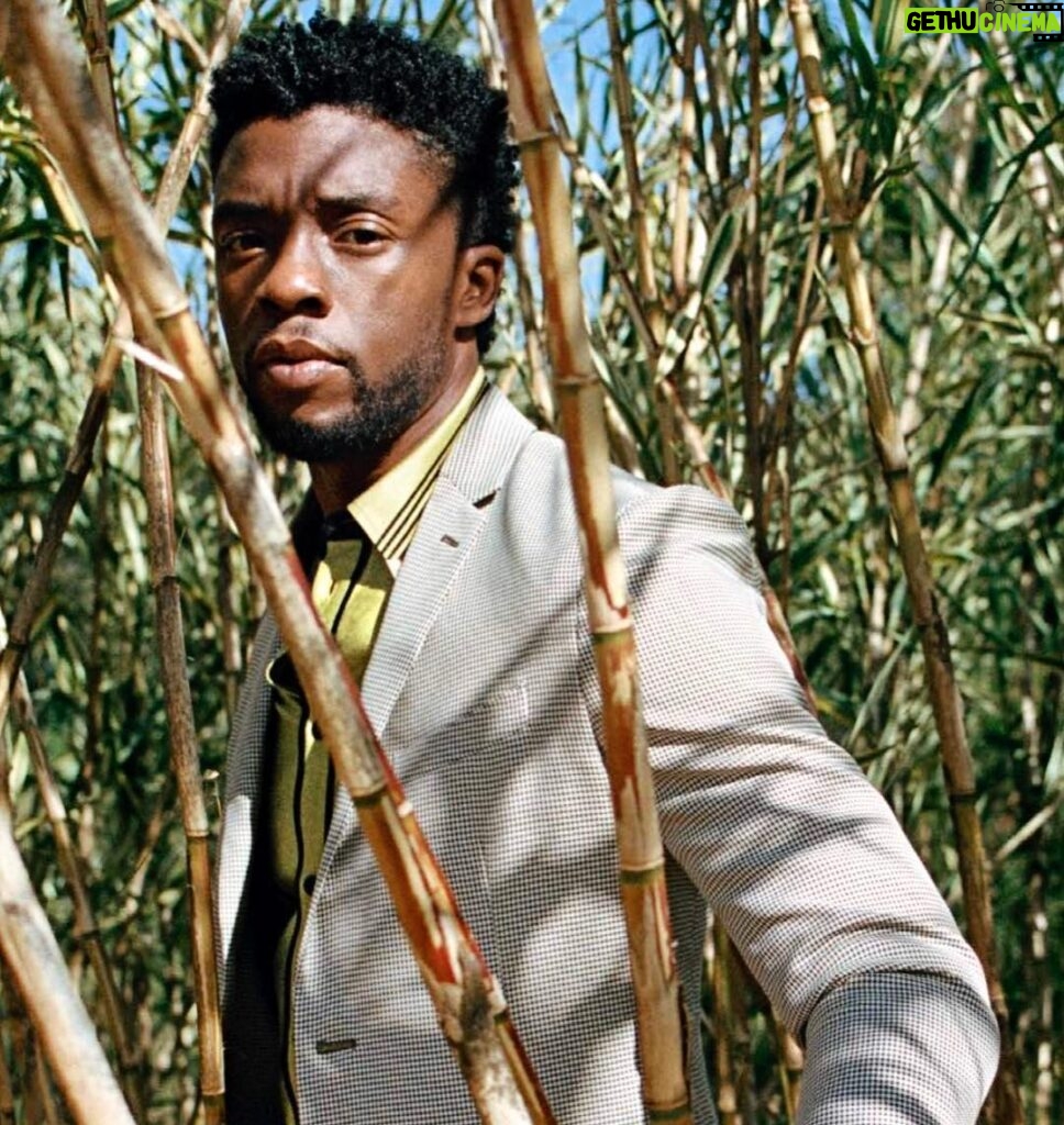Chadwick Boseman Instagram - I’m deeply grateful for your kind words. Thank you to @ChrisRock @Oprah @LenaWaithe #QuentinTarantino and @KamalaHarris. Incredibly honored. #Esquire: http://bit.ly/cbesquire18 [🔗 in bio]