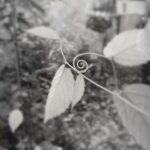 Channing Tatum Instagram - What is... I needed to see this today. I love spirals. They means a lot to me. They mean a lot in general. But to me they mean the going in to me deepest self. They remind me that nothing is permanent... nothing. And that’s what makes every moment so beautiful no matter what it IS. Not what i want every moment to be or what it was or could be. But what is right now. Just as it is. It reminds me of nature and how divine i feel it is when I’m in it. I’m not in control of it nor will i will i ever be. I’m just in it and being with it. I’m grateful to be reminded of this today i needed it. And thank you to the people in my life that are my people. My teachers and guide posts. And for all the signs along the way. I’m so grateful