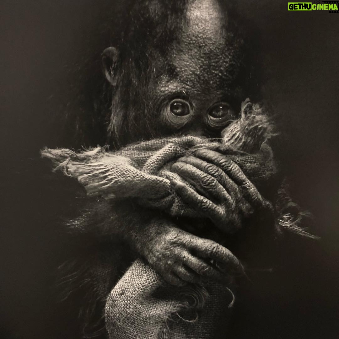 Channing Tatum Instagram - My three moods today. Lee Jeffries you are a magician and a soul conjuring photographer. Your images give me faith in searching for truth through art. Thank you for these man!